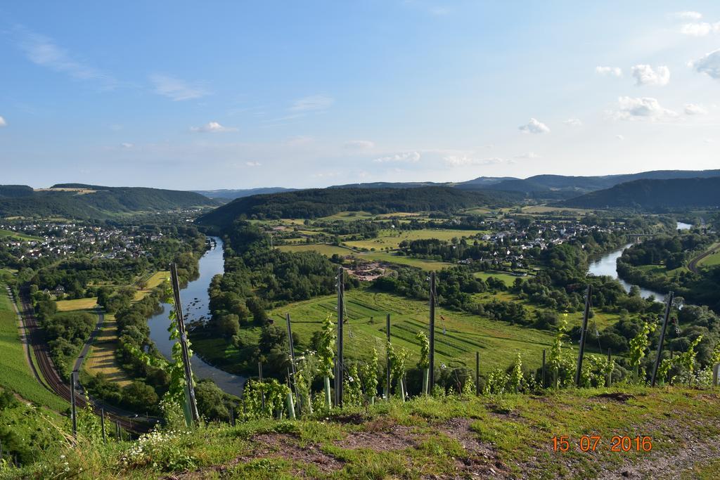 Ferienweingut Borens Wiltingen エクステリア 写真